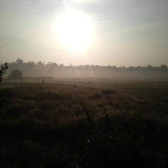 Stay In A Homestay In CoorgKundah, Coorg 2